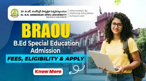 bed special education